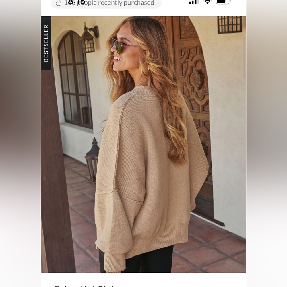 NWOT Vici Elouise oversized pullover sweater